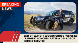 Read more about the article End of Watch: Woods Cross Police K9 ‘Ranger’ Honored After a Decade of Heroic Service