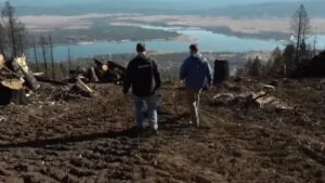 Read more about the article Idaho’s Tamarack Ski Resort Turns Wildfire Damage Into New Trail Opportunities