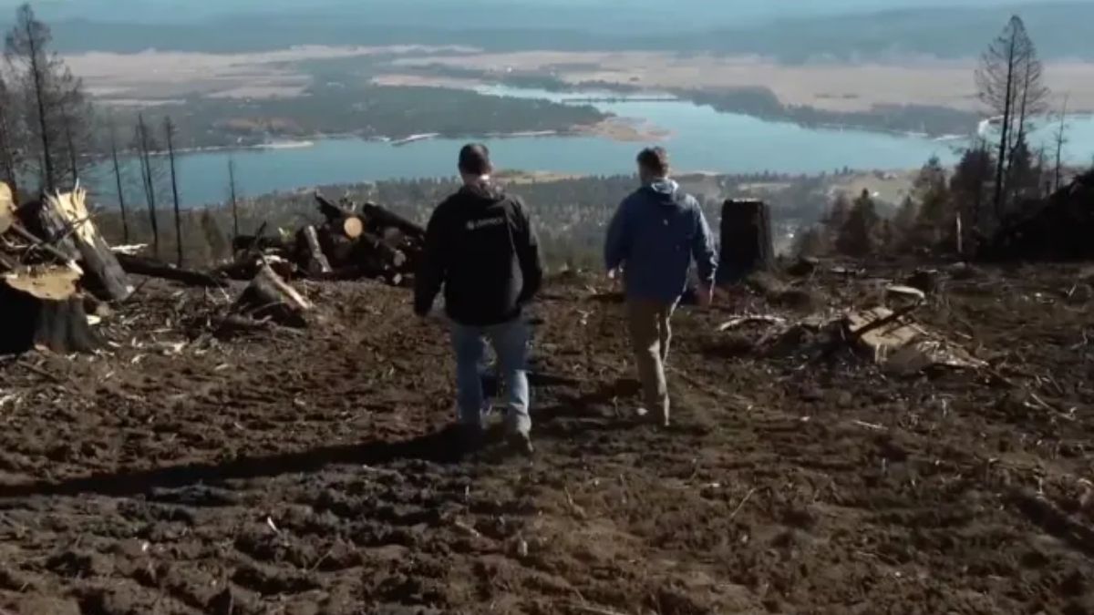 You are currently viewing Idaho’s Tamarack Ski Resort Turns Wildfire Damage Into New Trail Opportunities