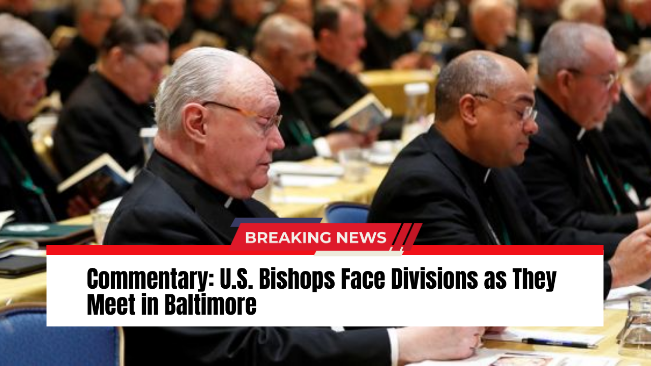 Read more about the article Commentary: U.S. Bishops Face Divisions as They Meet in Baltimore