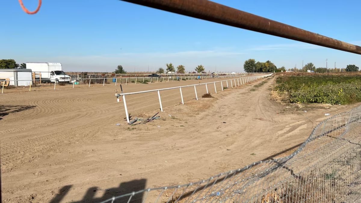 Federal Judge Orders Release of 16 Migrants Detained in Idaho Raid, Citing Due Process Violations