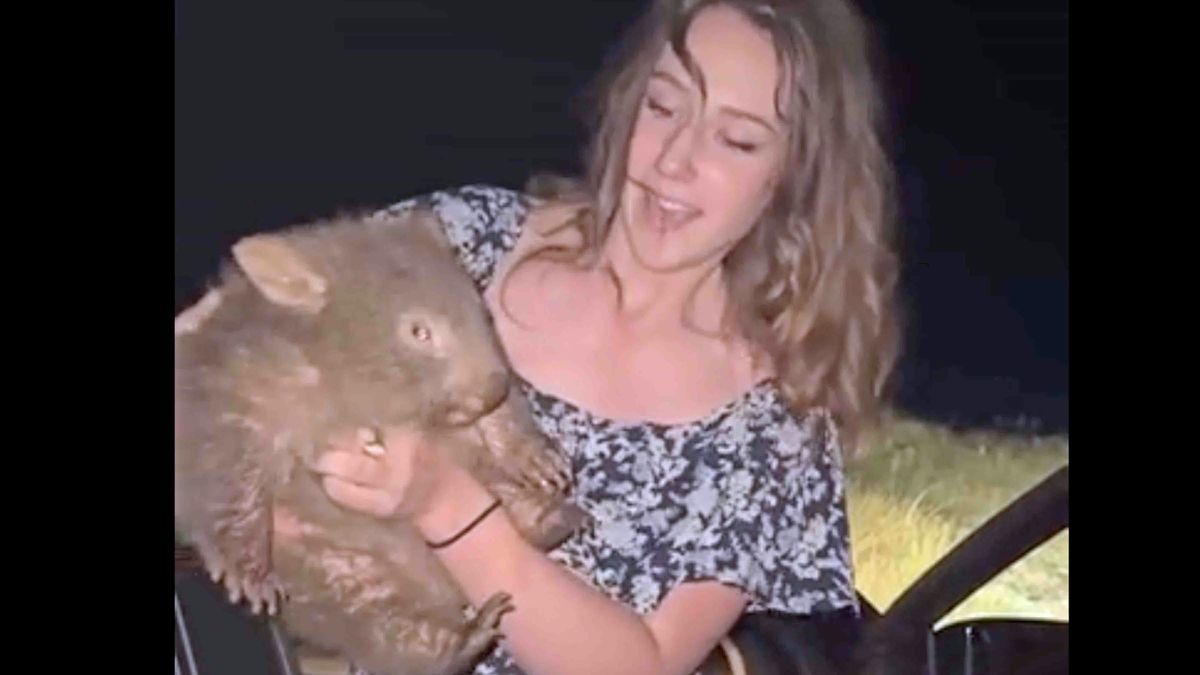 Influencer Criticized for Taking Wombat Baby Arrested in Wyoming for Alleged Hunting Violations