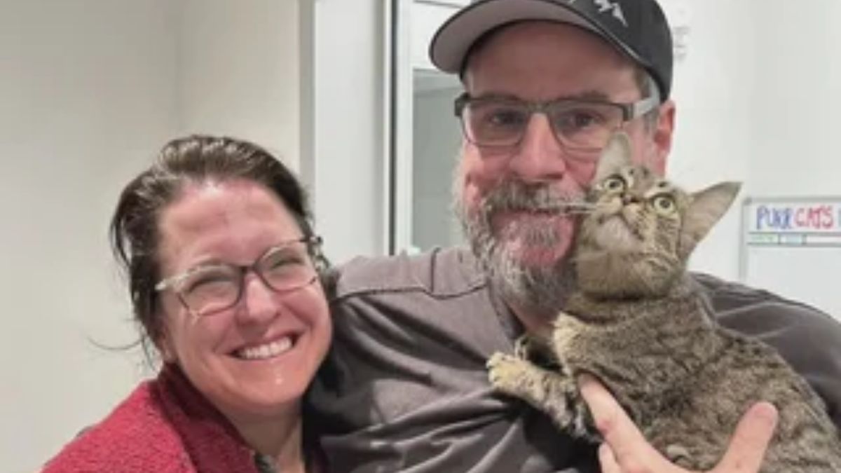 Missing Idaho Cat Discovered in San Francisco and Reunited With Family After Strange Disappearance