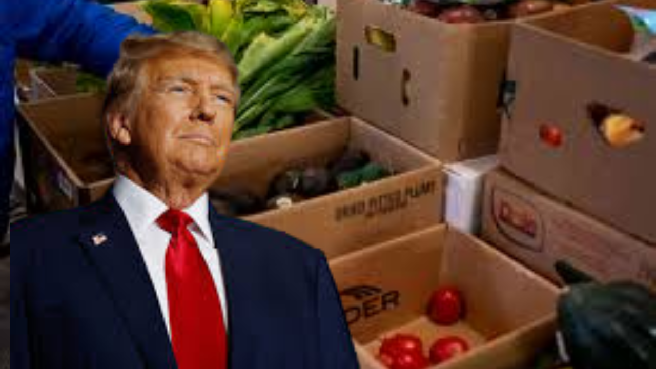 November SNAP Benefits Fully Restored Here’s When Your Payment Arrives