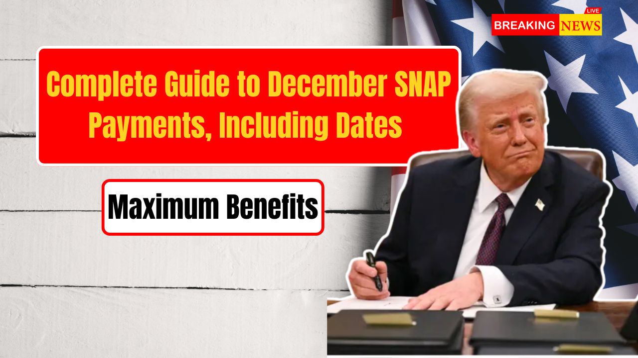 Complete Guide to December SNAP Payments, Including Dates and Maximum Benefits