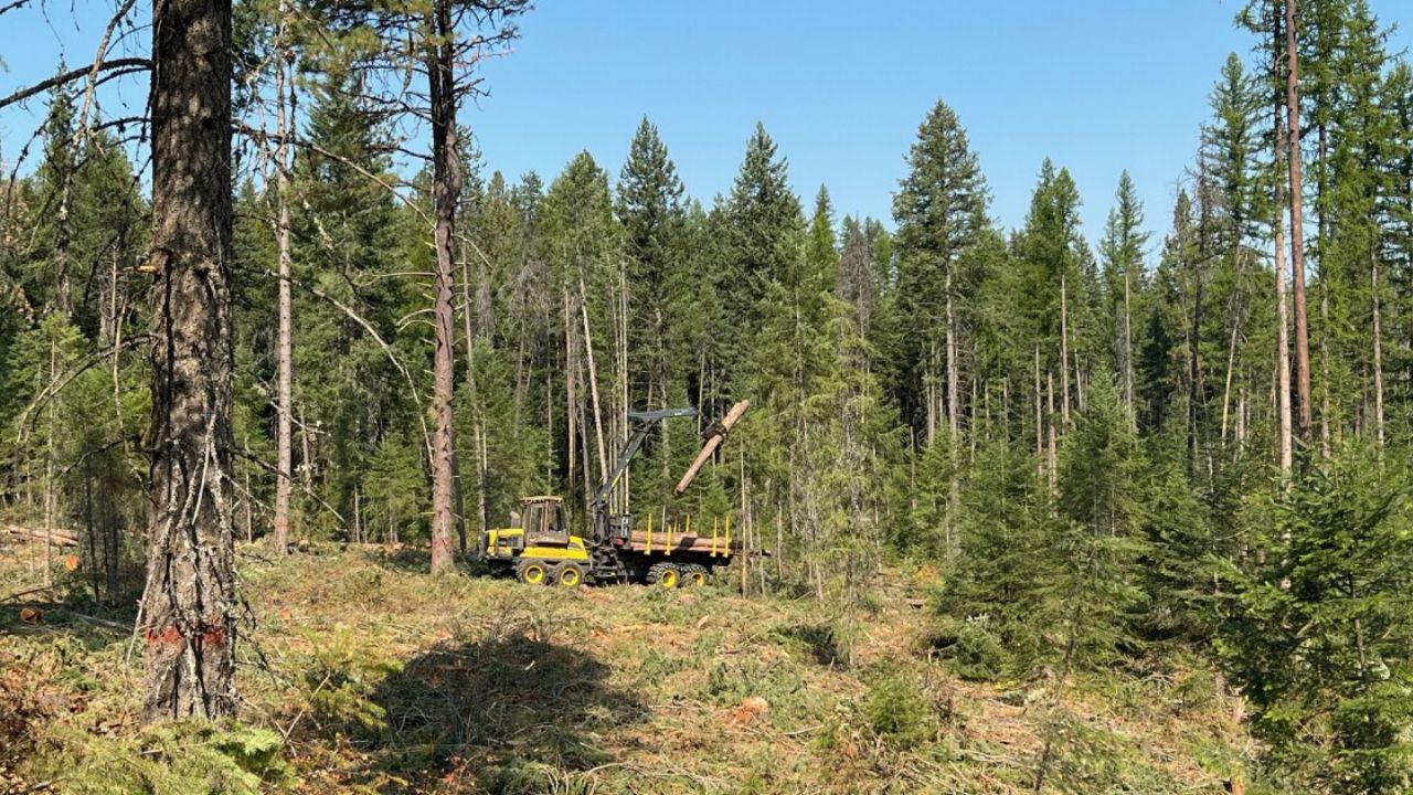 Idaho teams up with U.S. Forest Service in effort to significantly increase timber sales