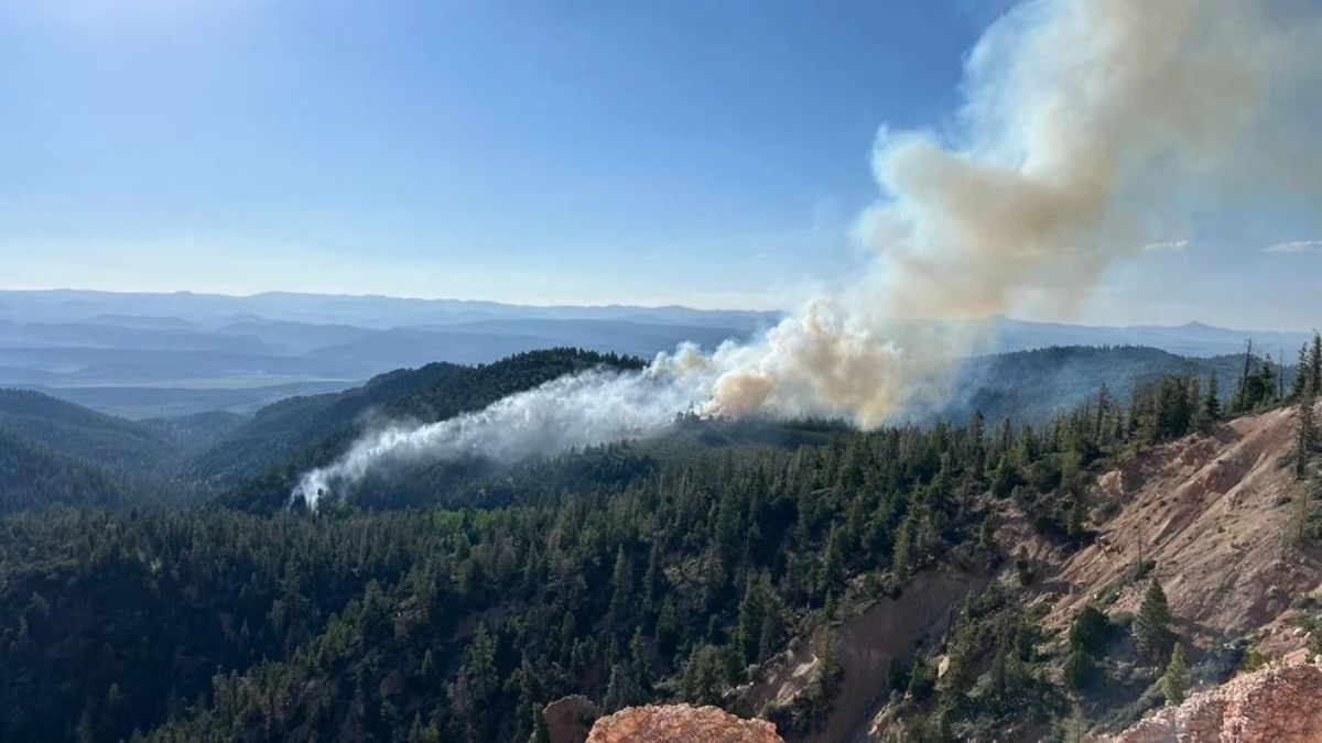 Restoration Underway in France Canyon After Massive Utah Wildfire Burns 35,000 Acres