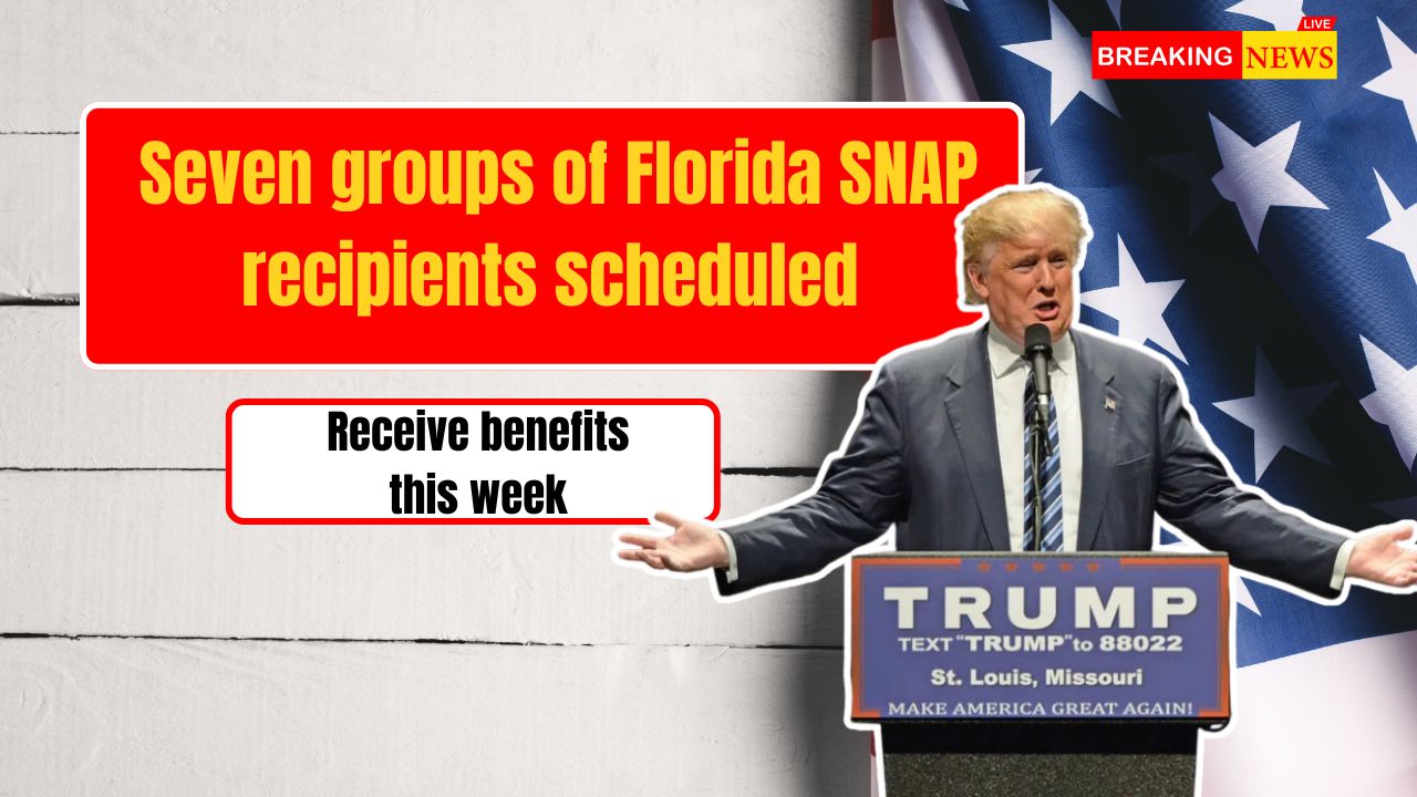 Seven groups of Florida SNAP recipients scheduled to receive benefits this week