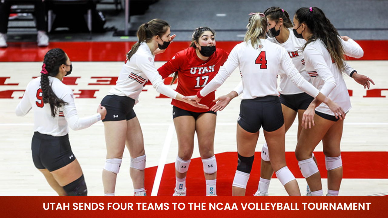 Utah Sends Four Teams to the NCAA Volleyball Tournament