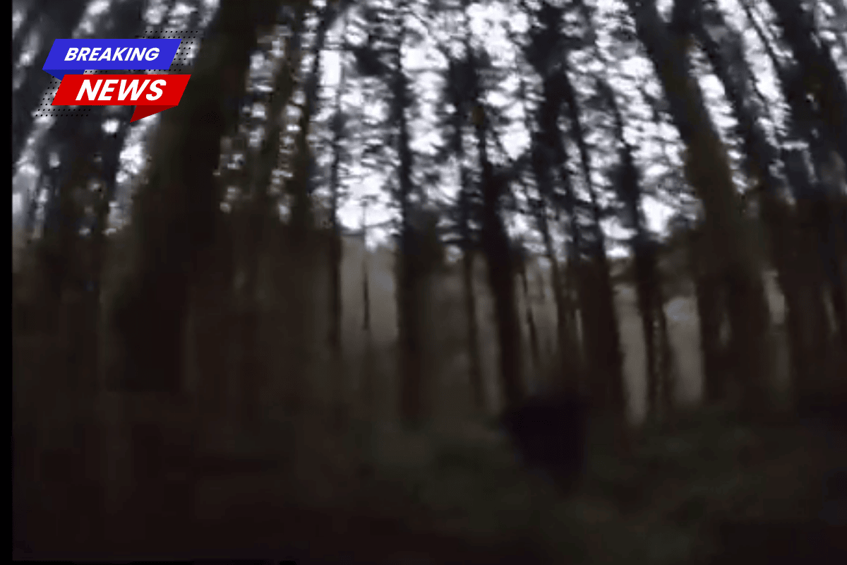 2 suspects accused of embezzling $100,000 from the Cowlitz Tribe were arrested in Thurston County