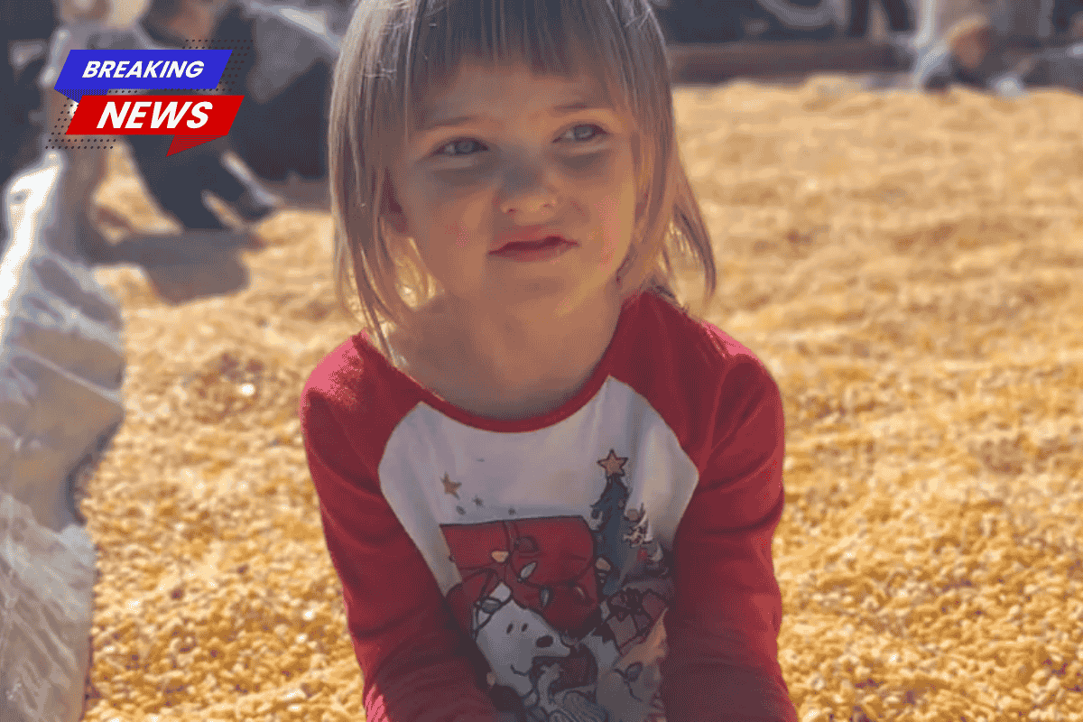 A Four-year-old Girl Died From the Flu While Wearing a Blue Princess Gown and Cradled in Her Parents' Arms