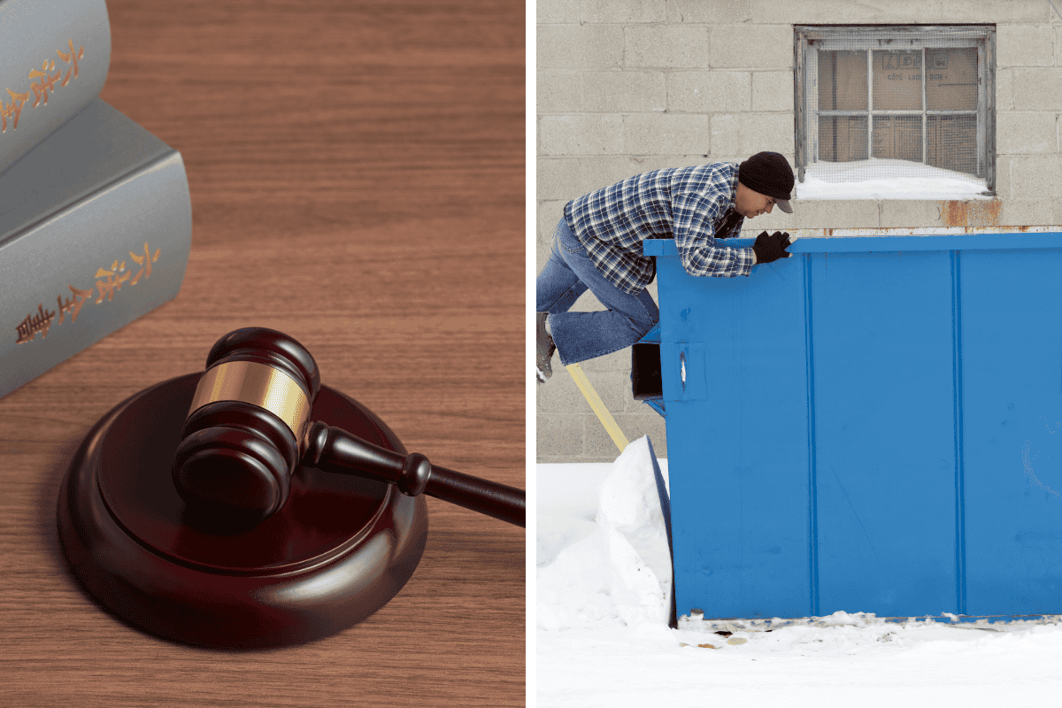 Is It Illegal to Dumpster Dive in Colorado Here’s What the Law Says