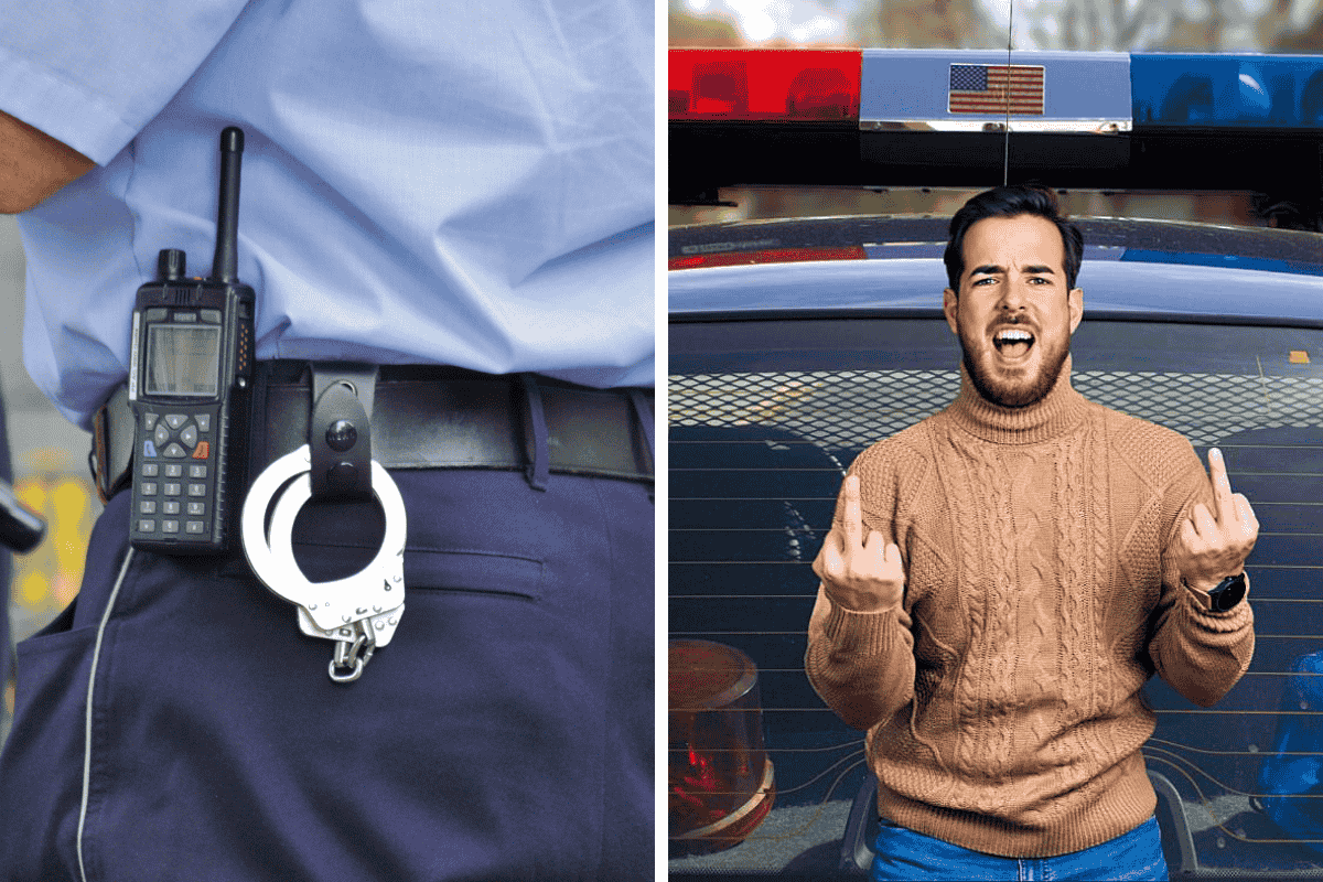 Is It Illegal to Flip Off a Cop in Idaho Here's What the Law Says