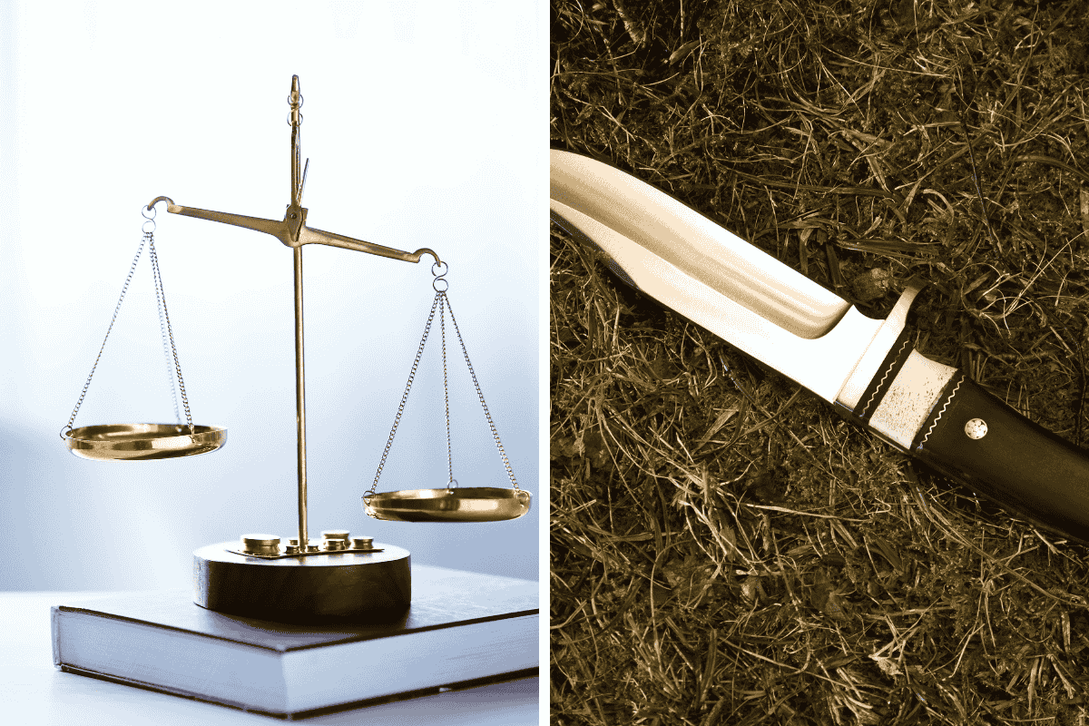 Understanding Your Knife Rights in South Carolina a Legal Guide