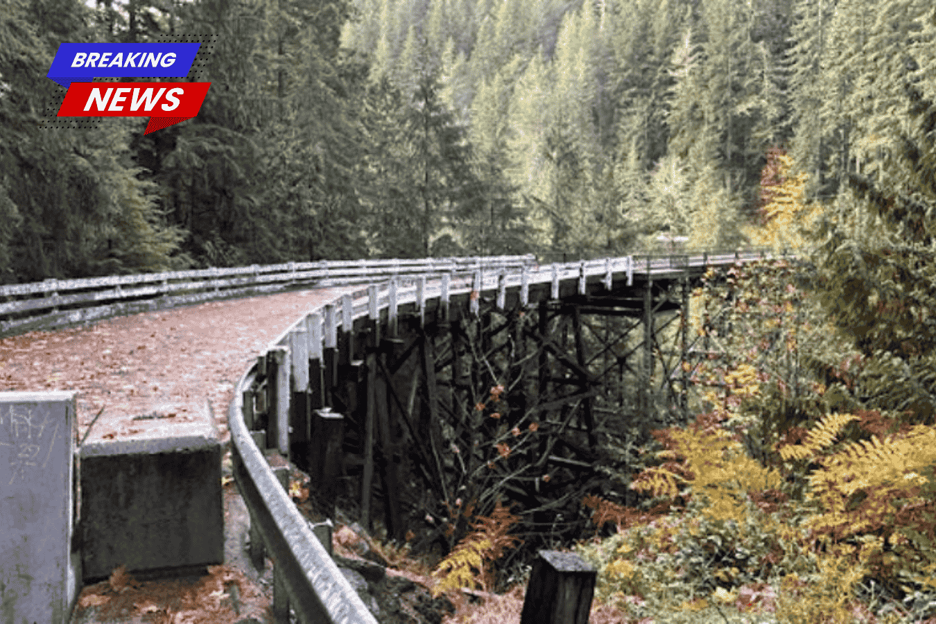 WSDOT Plans for the Carbon River Bridge, Which is Projected to Take Two Years to Build