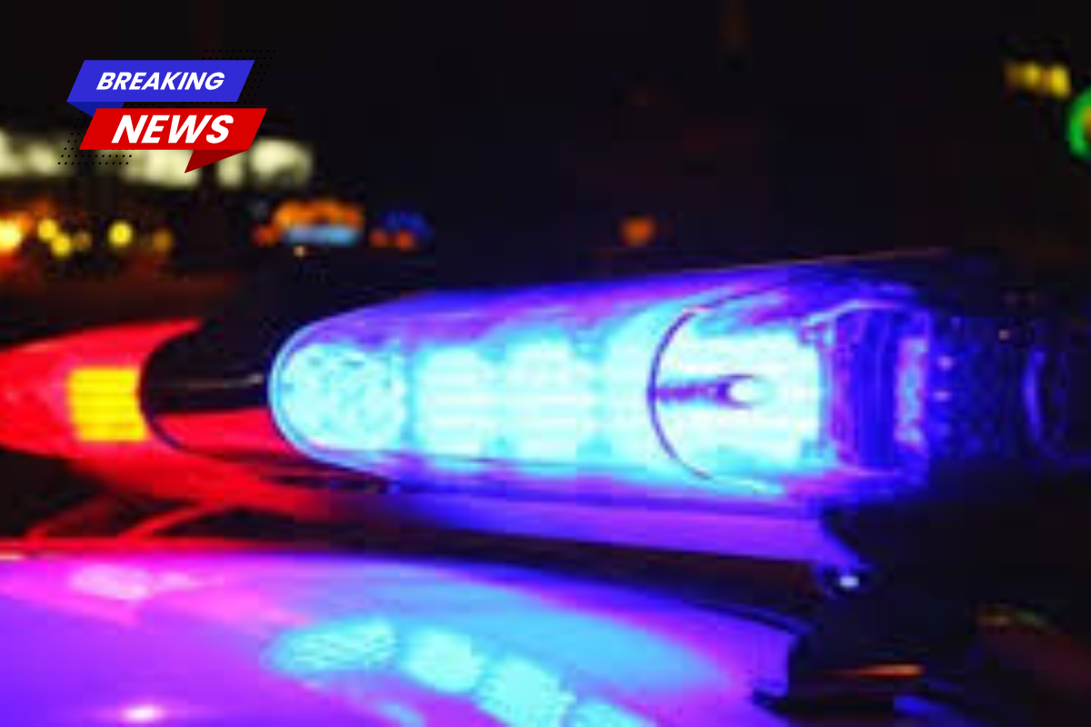 A New York father allegedly attacked his family with a knife and a dumbbell before committing suicide.