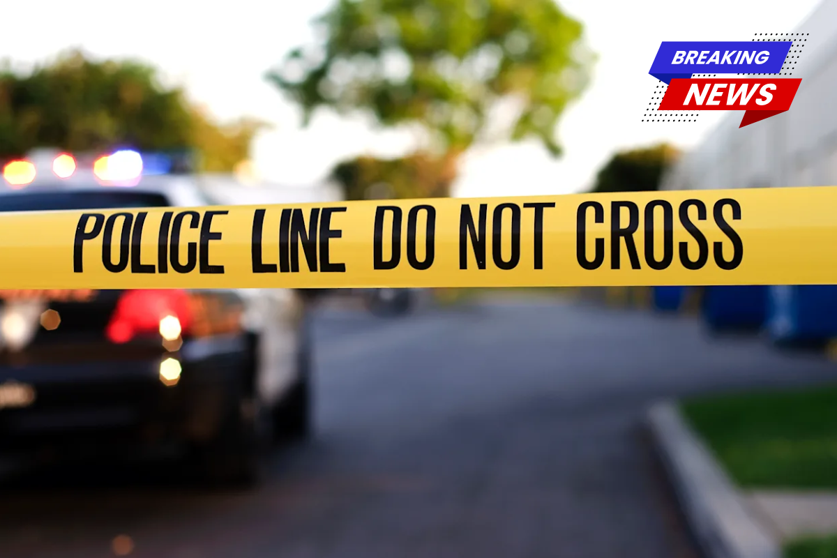 Brother and sister found dead at convenience shop in apparent murder-suicide: police