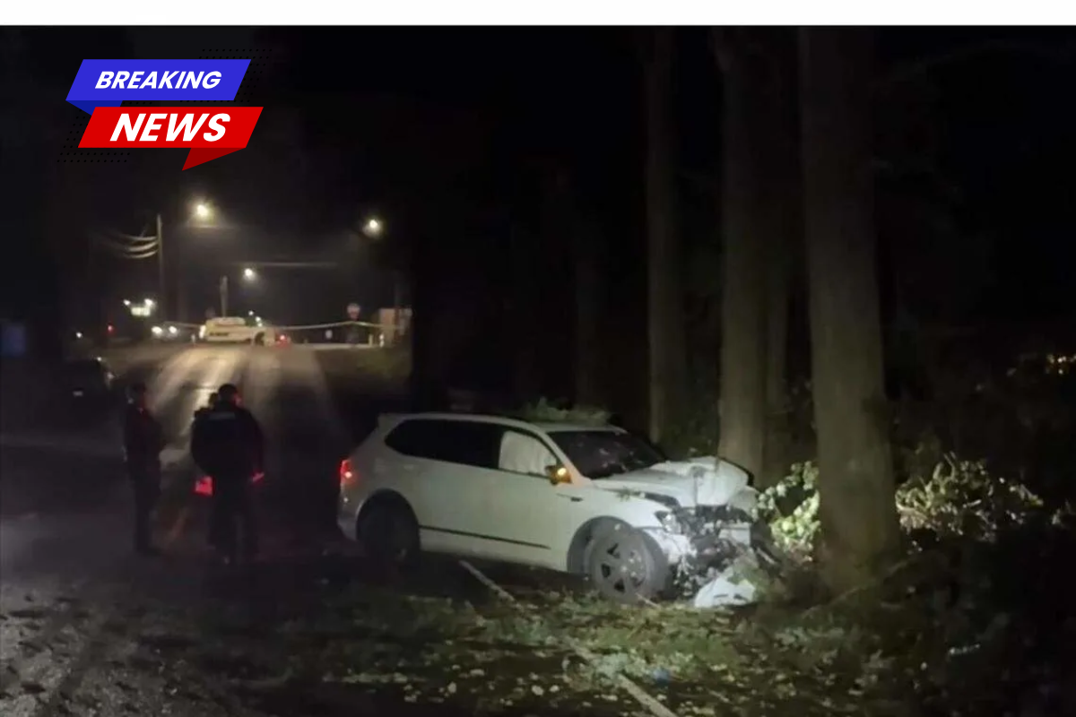 A Pierce County man was fatally shot during an apparent road rage incident