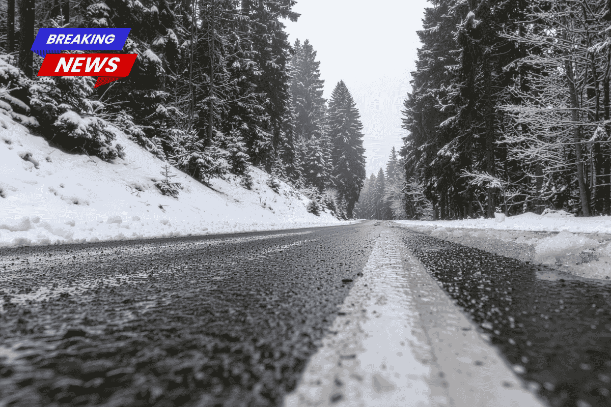 Pacific Northwest Weather Alert: Limited Rain/Snow Ahead for Seattle and Tacoma February 5-9